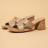 Aaudrey Block Heels